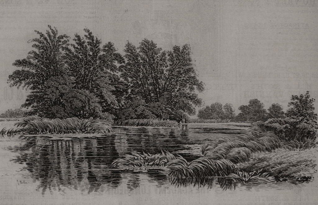 The Thames between Henley and Wargrave. Oxfordshire 1863 old antique print
